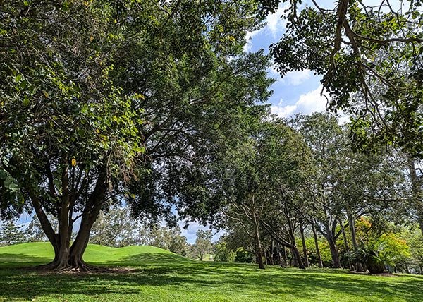 Barrambin (Victoria Park) landscape